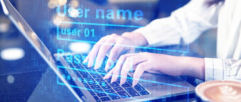 專科計算機專業涵蓋的數據處理服務領域詳解